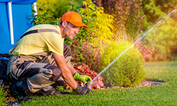Landscape & Irrigation